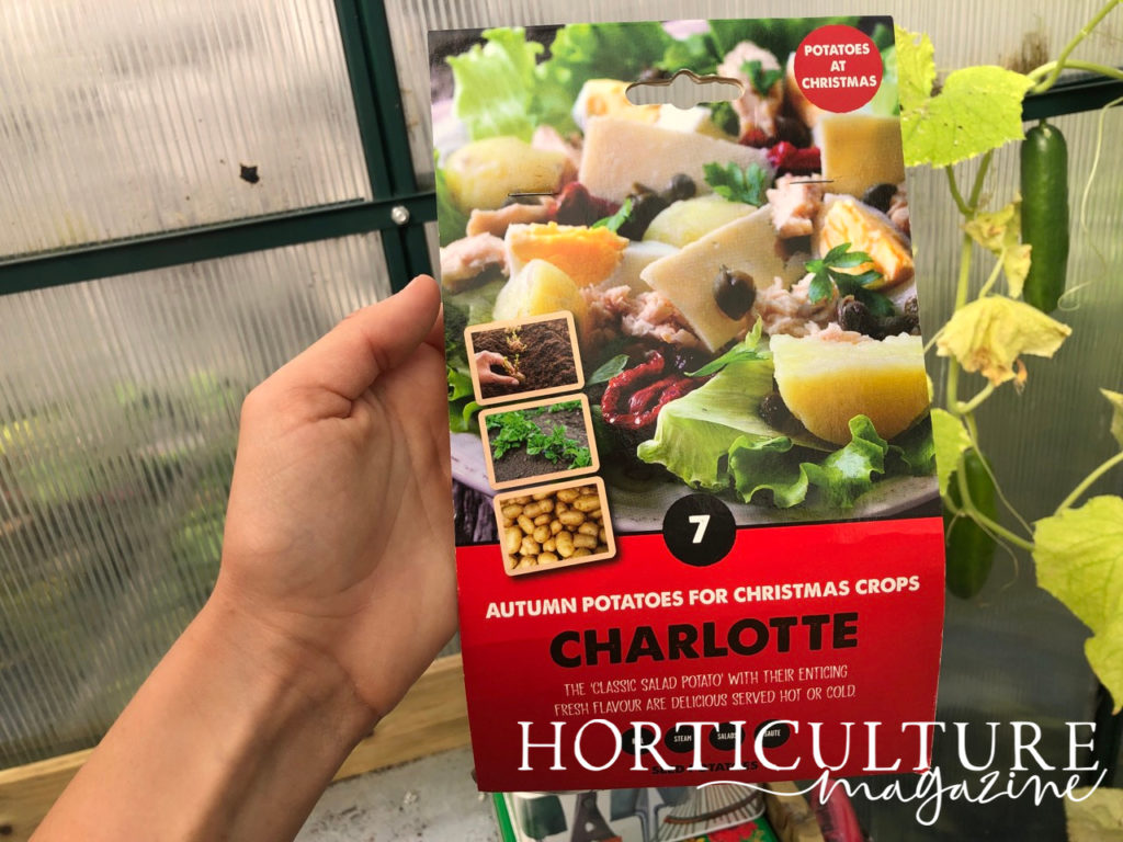 gardener holding a tuber packet labelled 'Charlotte potatoes' inside a greenhouse