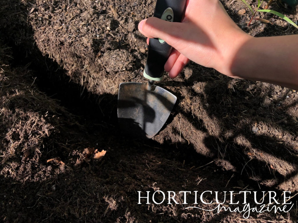 a trowel being used to prepare a trench in soil