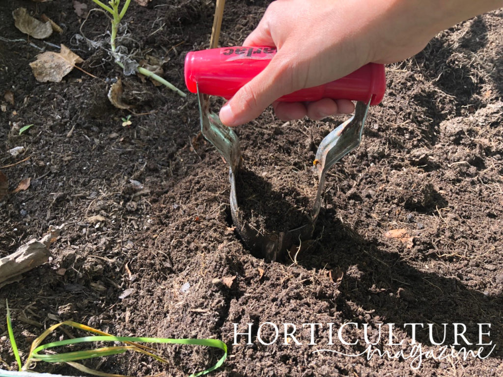 using a bulb planter to make a hole in the soil in a garden bed