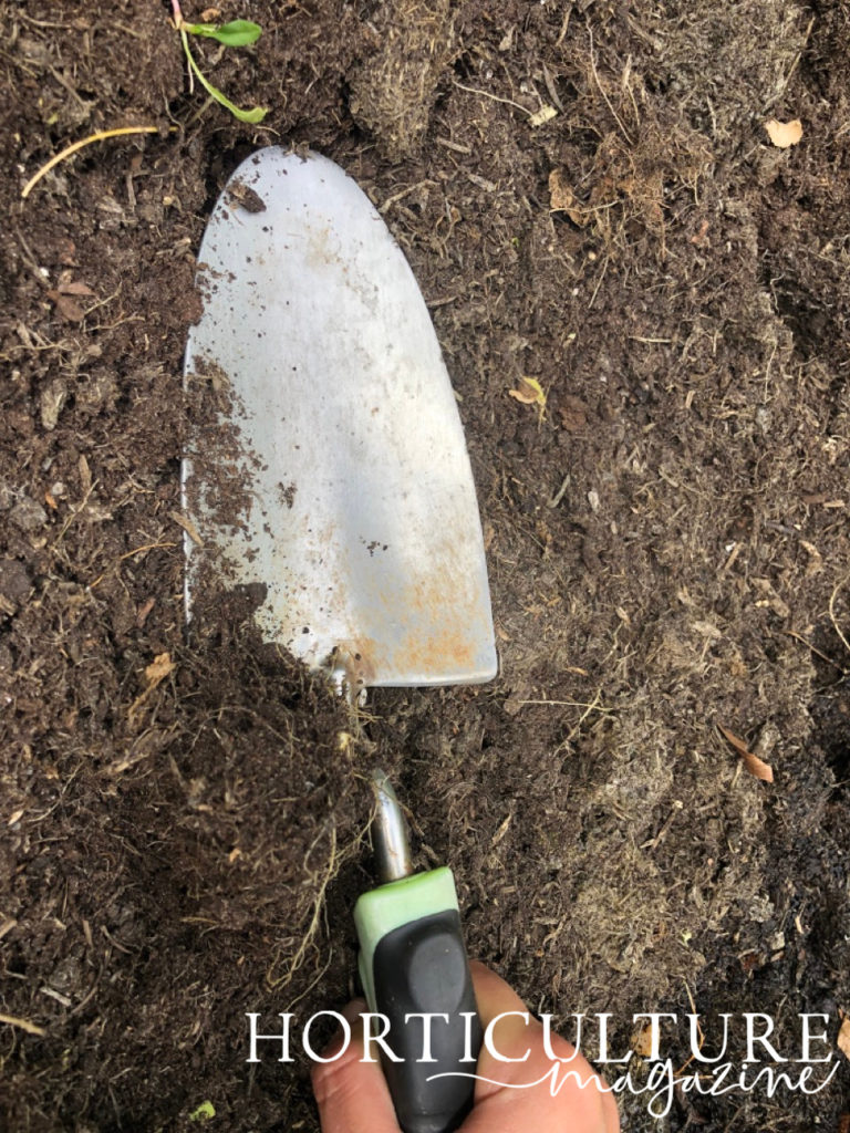 a trowel being used to prepare a growing area for sowing