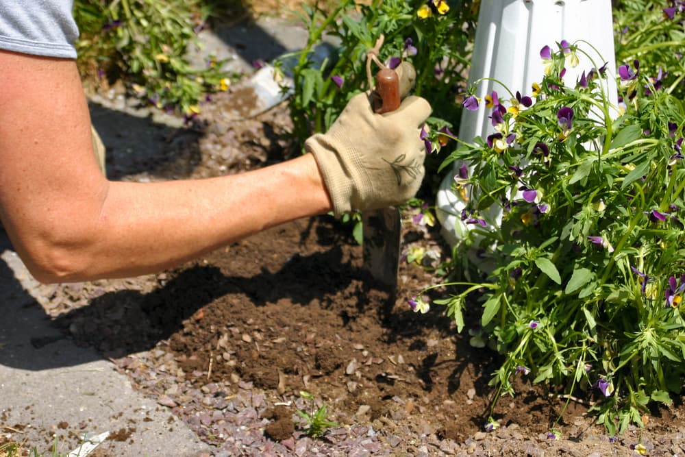 gardener digging up a garden bed with a hand trowel