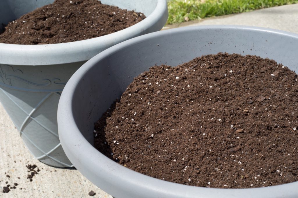 two large grey plastic pots filled to the brim with compost
