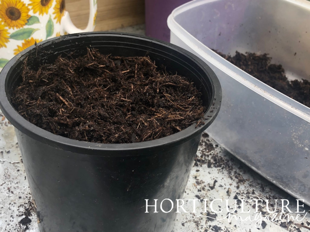 a black container filled with a growing medium