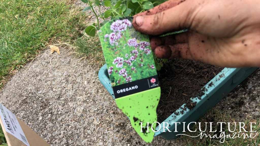 a label for an oregano plant being held in front of a potted plant