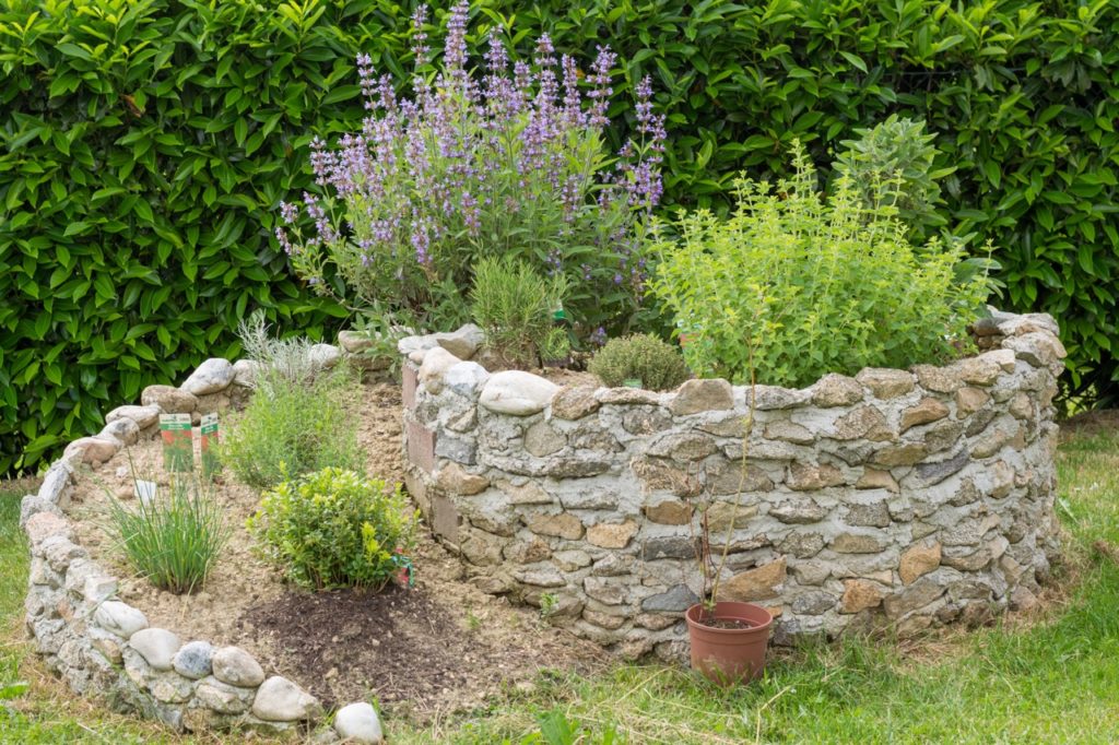 purple flowering lavender, chives and other herbs growing in a stone-built spiral herb garden