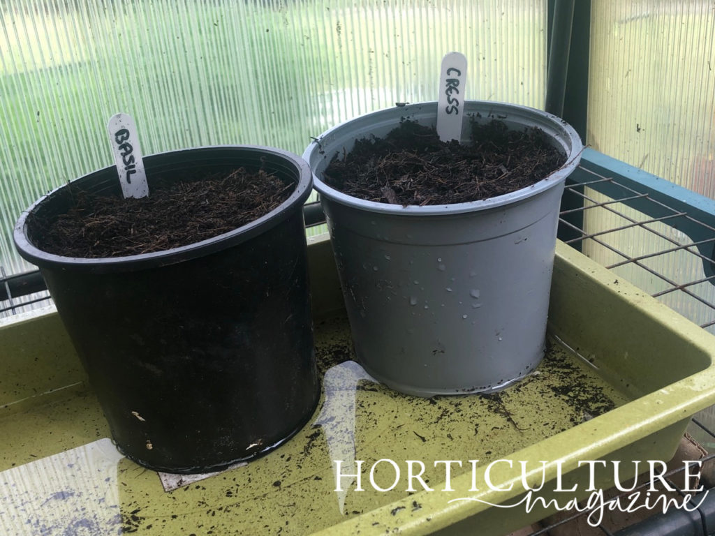 two pots on a rack inside of a greenhouse labelled 'basil' and 'cress'