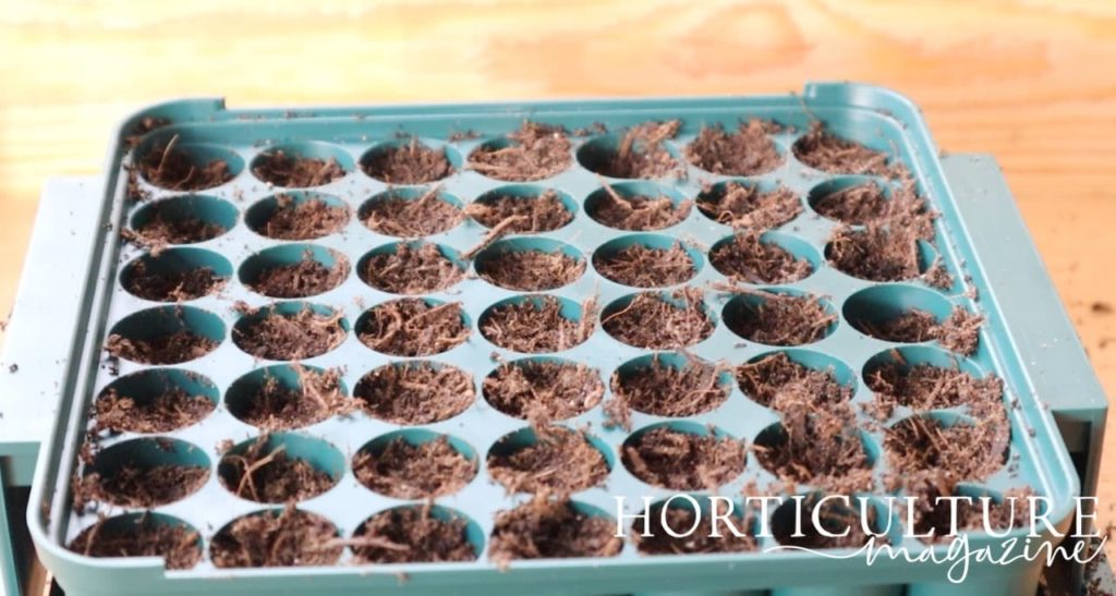 a green plastic seed tray filled with compost