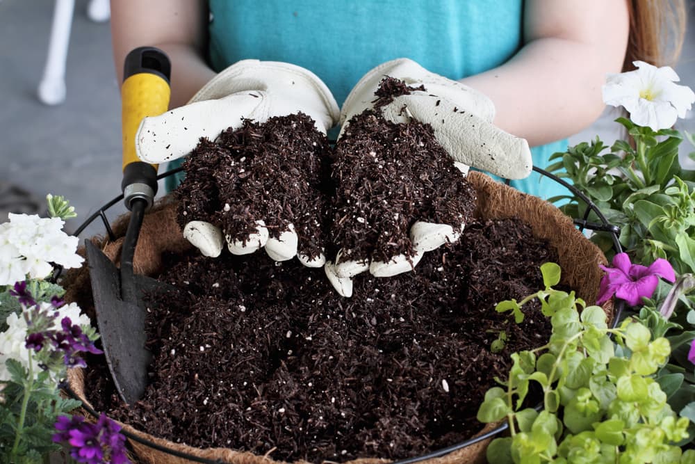hands demonstrating soil inside a hanging basket