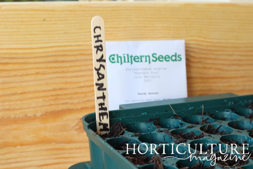 a seed tray labelled with a seed packet visible in the background