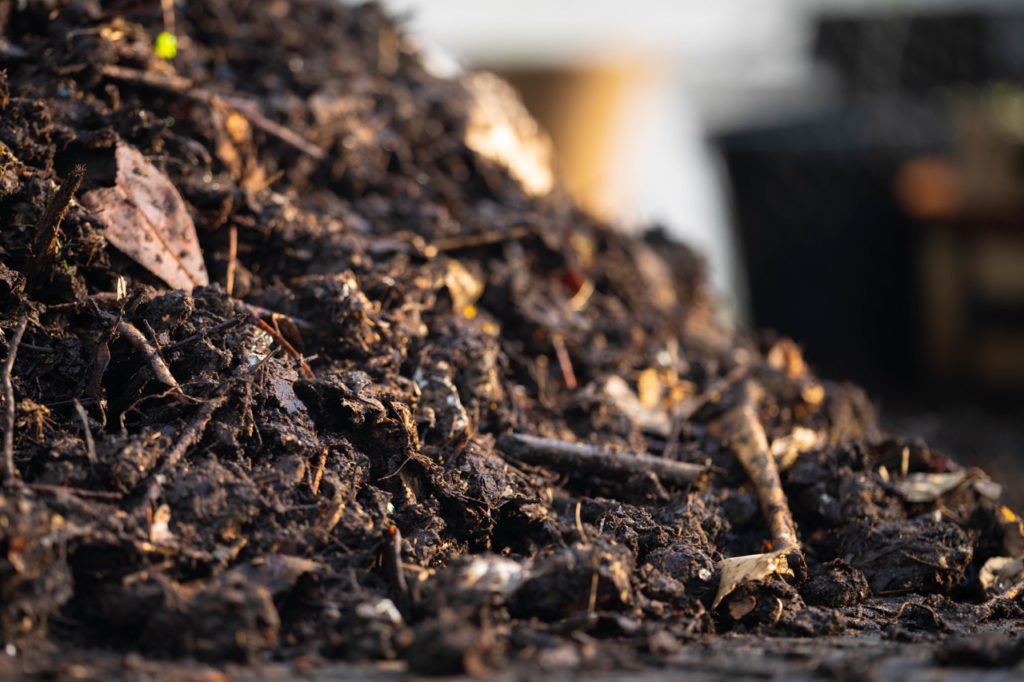 a pile of soil full of organic plant matter