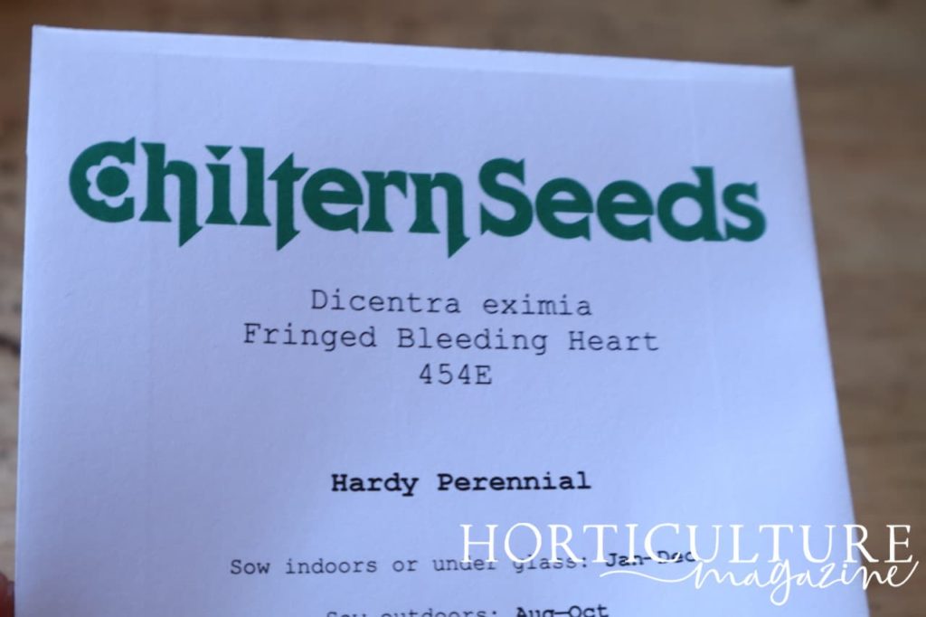 a seed packet of 'Dicentra eximia Frimnged Bleeding Heart' in focus