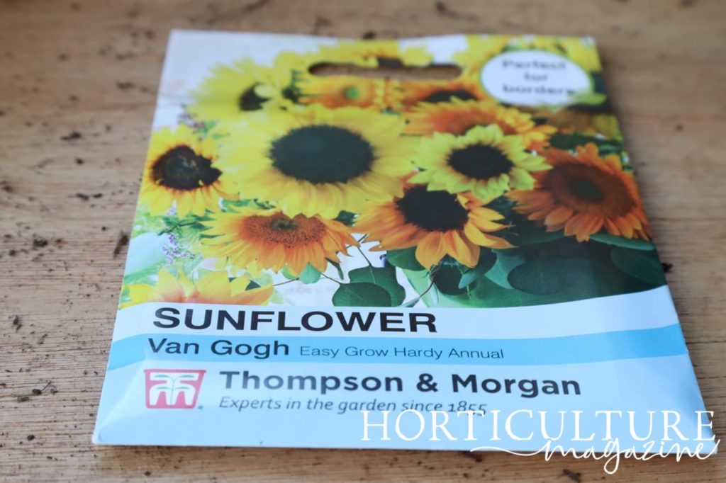 a packet of sunflower 'van gogh' variety from thompson & morgan