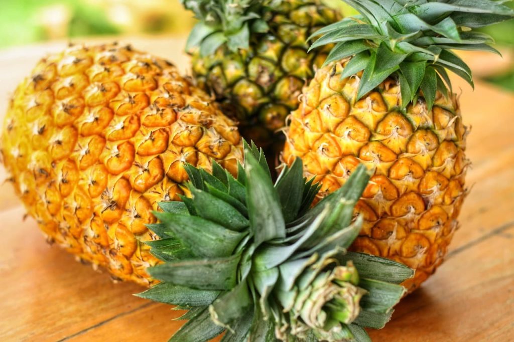 three ripe pineapples with yellow-orange bracts and green leaves that have been chopped back lying on a table