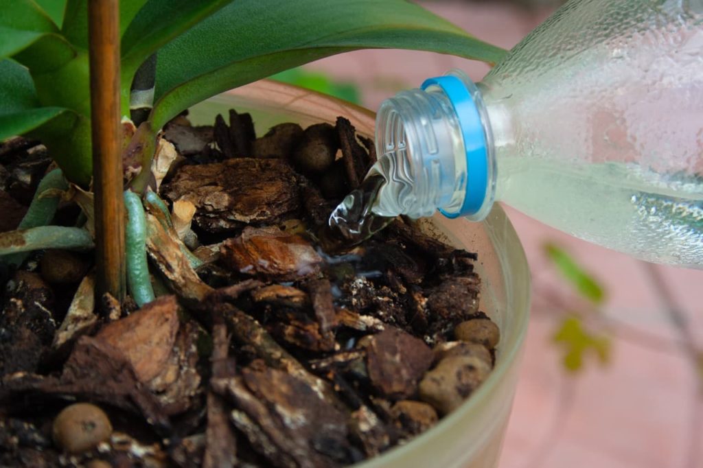 a plastic water bottle being used to pour water onto a bark covered orchid plant in a pot