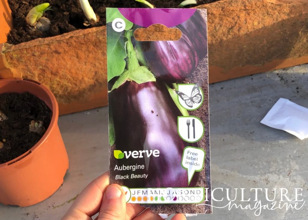 a seed packet full of aubergine black' beauty' seeds