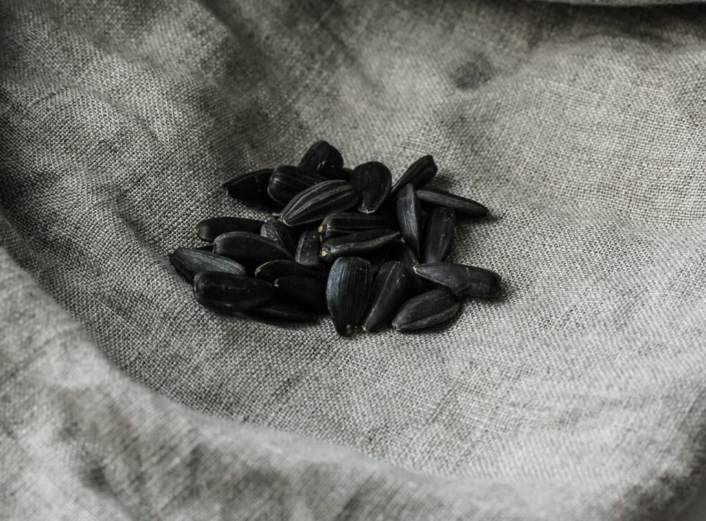 black sunflower seeds in a pile at the centre of a mesh cloth ready for storage
