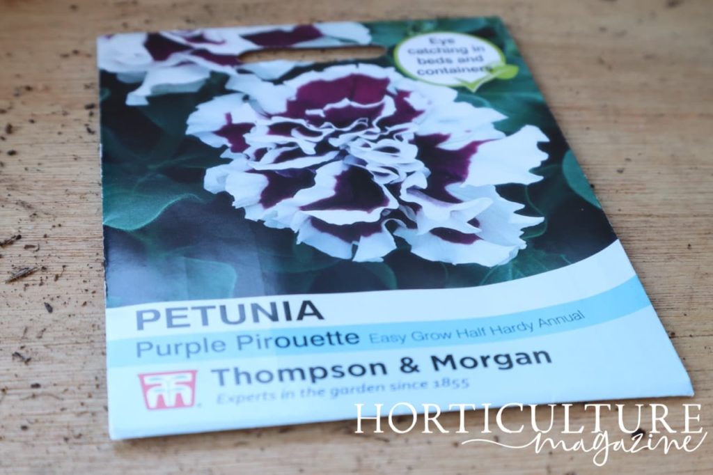 a packet of Petunia 'Purple Pirouette' seeds from Thompson & Morgan