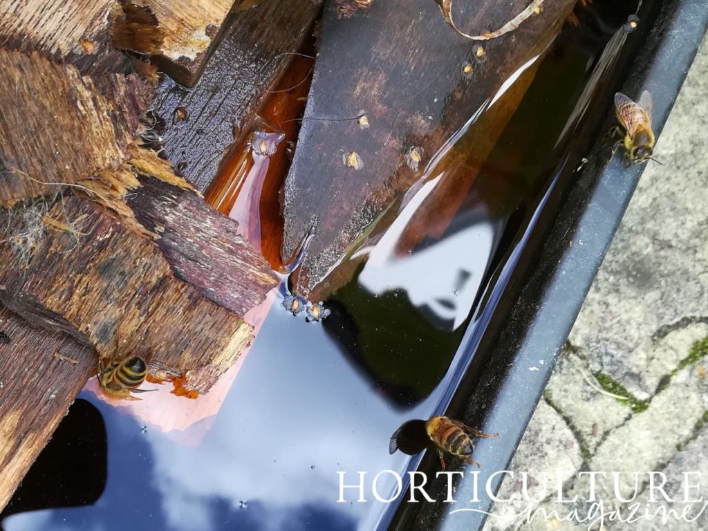 some bees drinking from a trough filled with water 