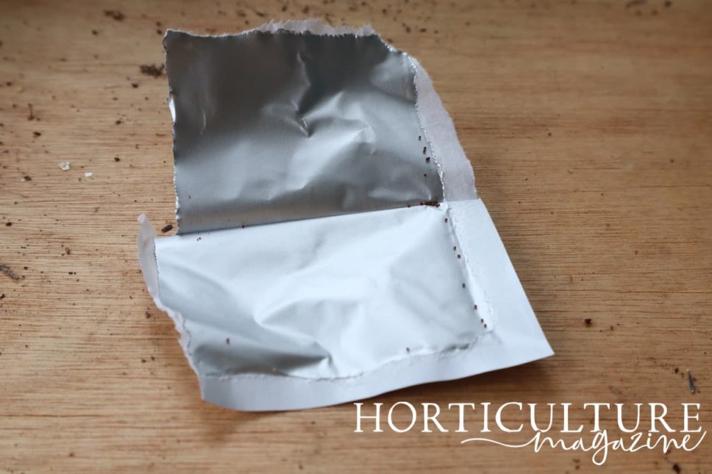 an open seed packet with tiny petunia seeds visible on the edges