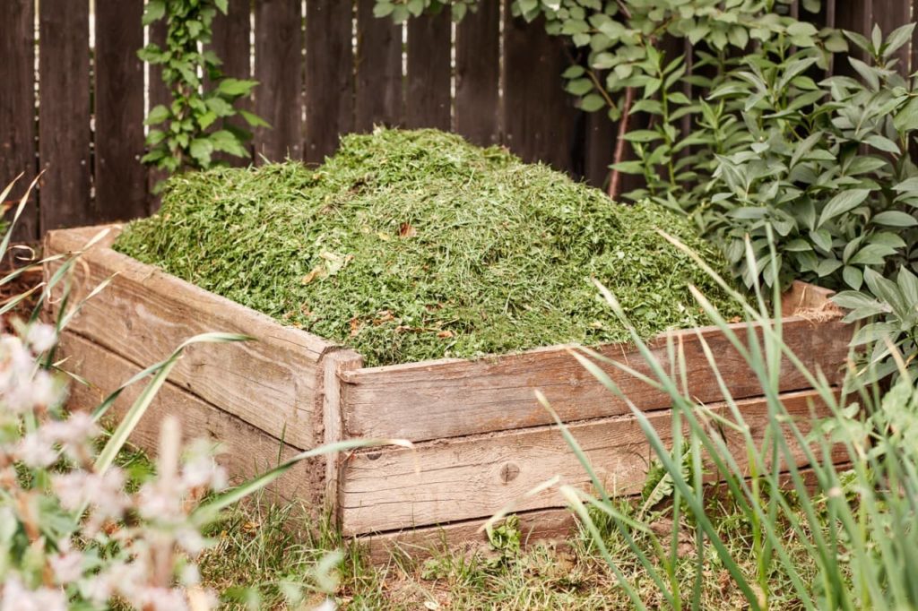grass cuttings that have been added to the top of an open compost heap in a garden