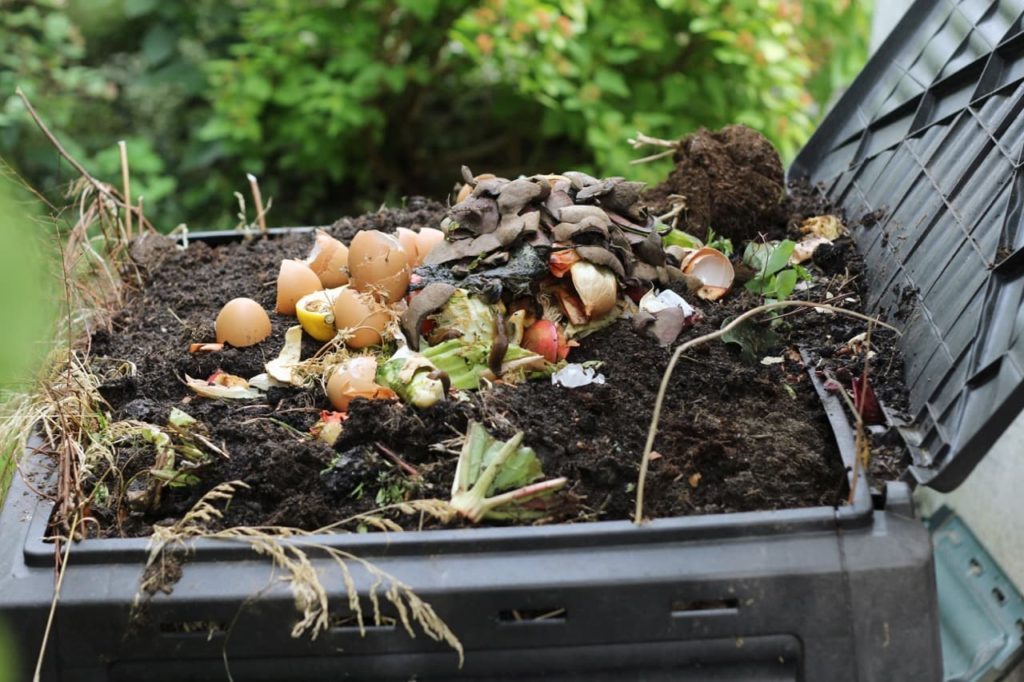 a compost bin with food waste, including egg shells, mushrooms and vegetable waste resting on the top of it