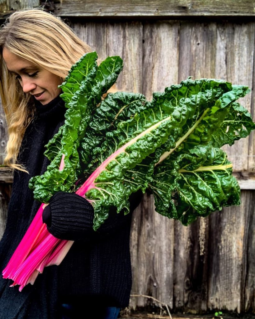 Lucy Hutchings holding some harvested chard with bright pink stems