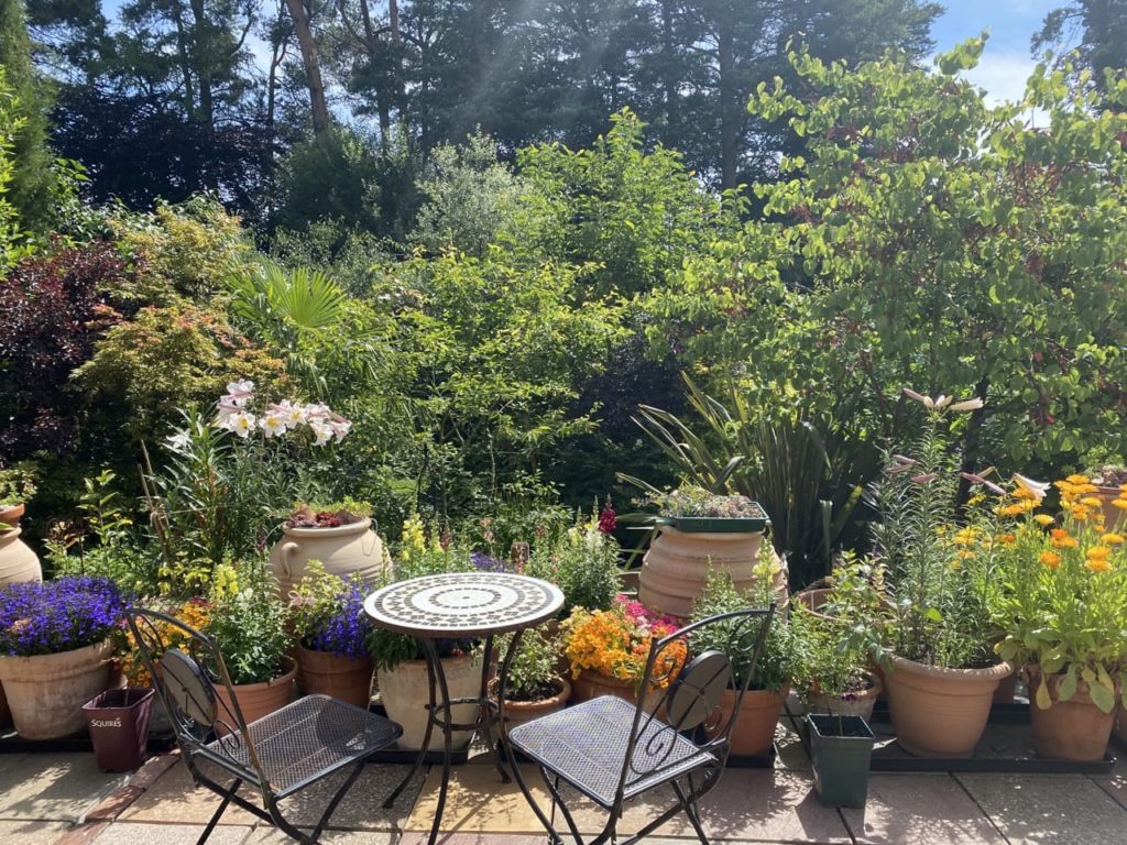 13 Broom Acres garden with an outdoor table and set of chairs in front of various potted plants and shrubs