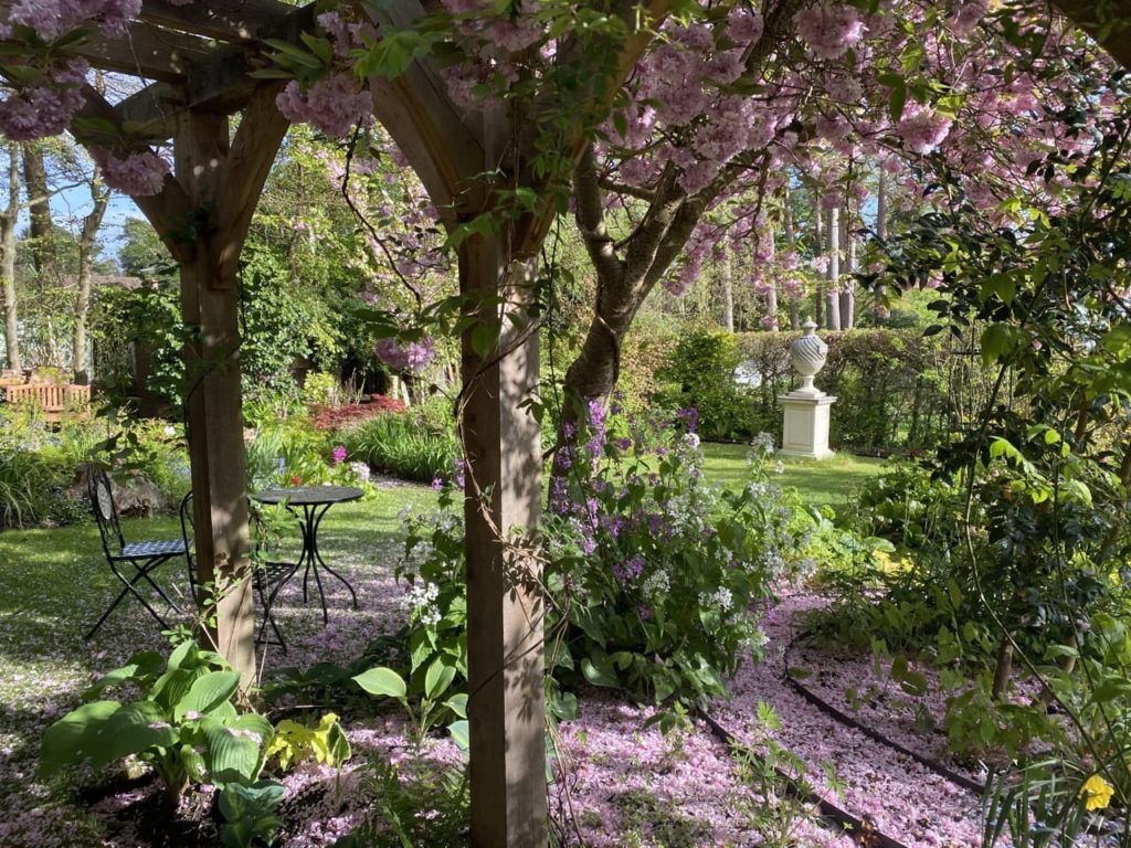 a wooden trellis covered in pink flowers from the 13 Broom Acres garden