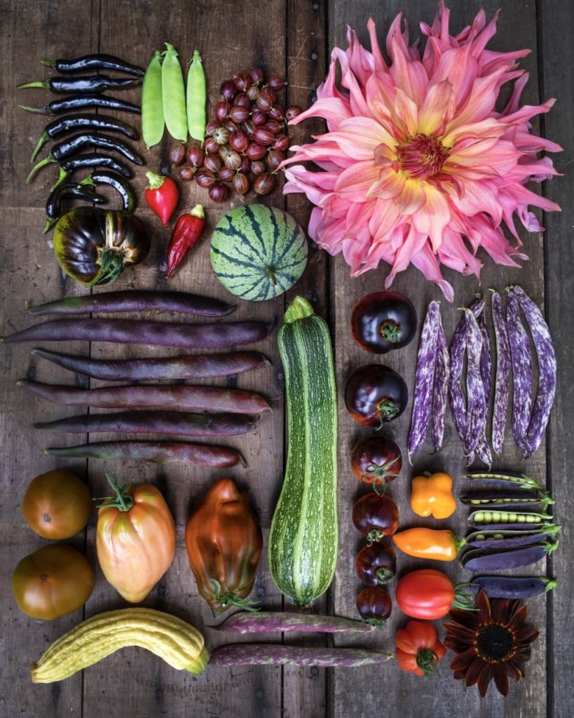 an array of colourful harvested vegetables lying on a wooden table