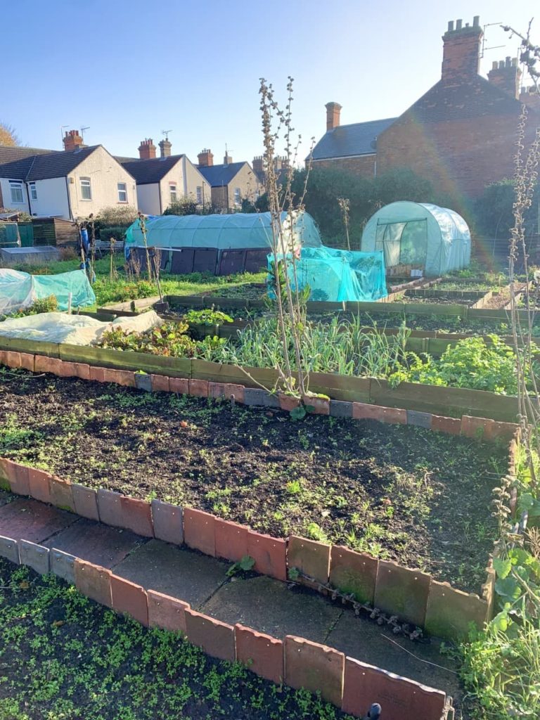 Joe's allotment with lots of raised beds and polytunnels
