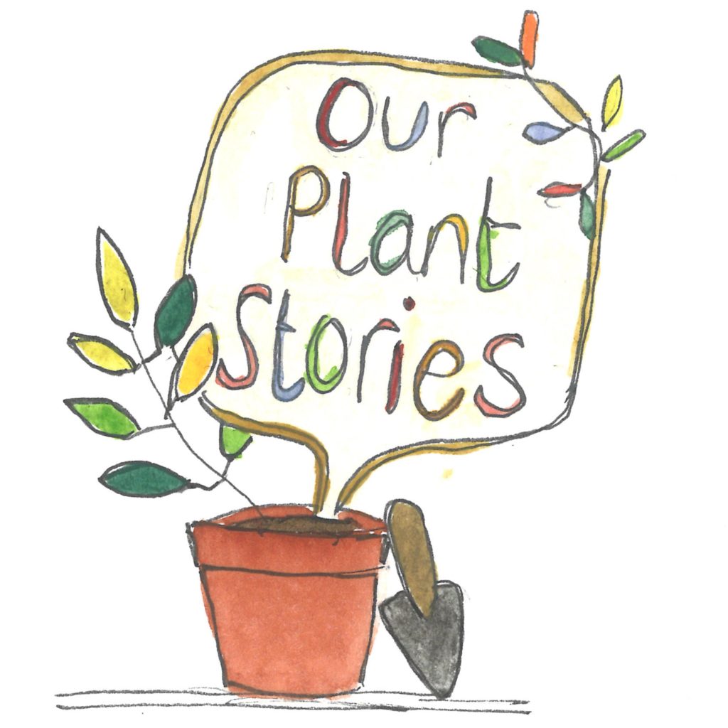 the illustrated logo for 'our plant stories'