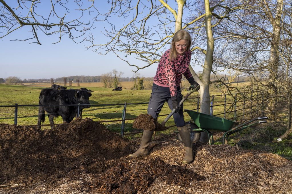 Bunny Guinness shovelling manure in a farm, with a black cow in the background