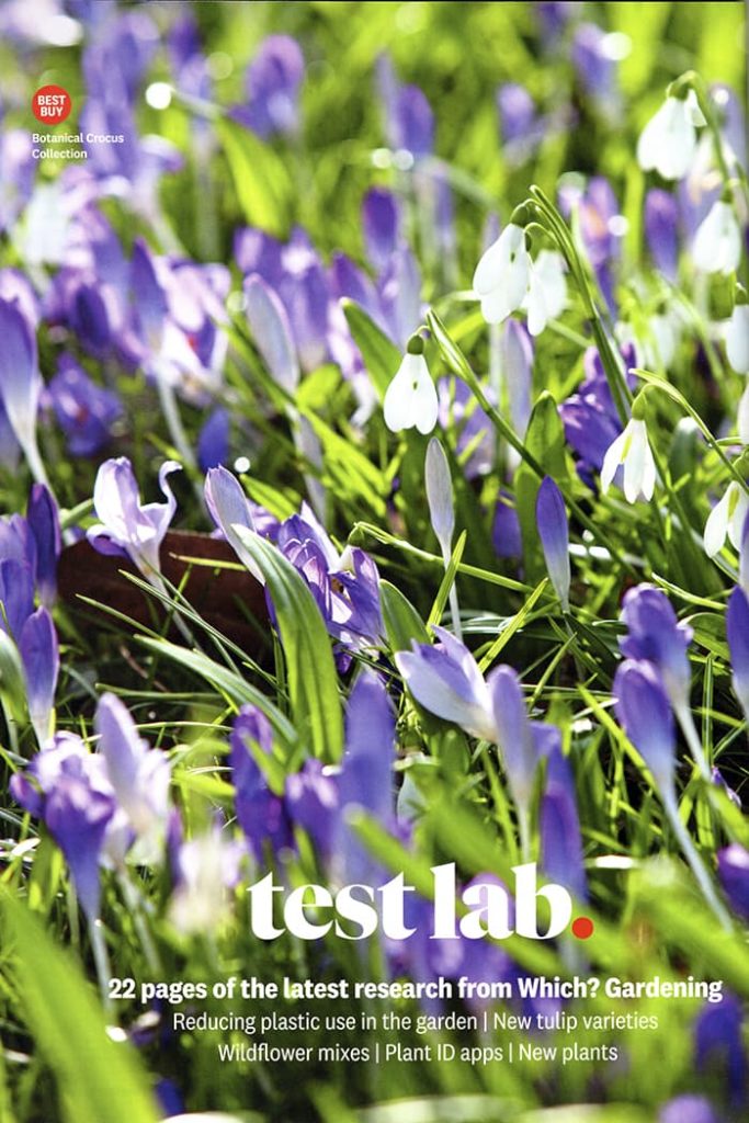 snopdrops and crocus on the cover of which? gardening magazine