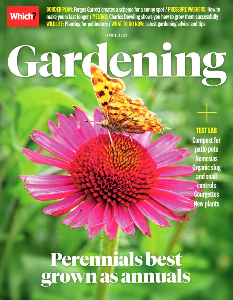 pink flower with a butterfly resting on it on the cover of a Which? magazine