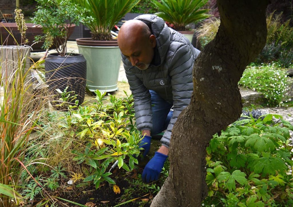 Manoj Maldé tending a garden bed