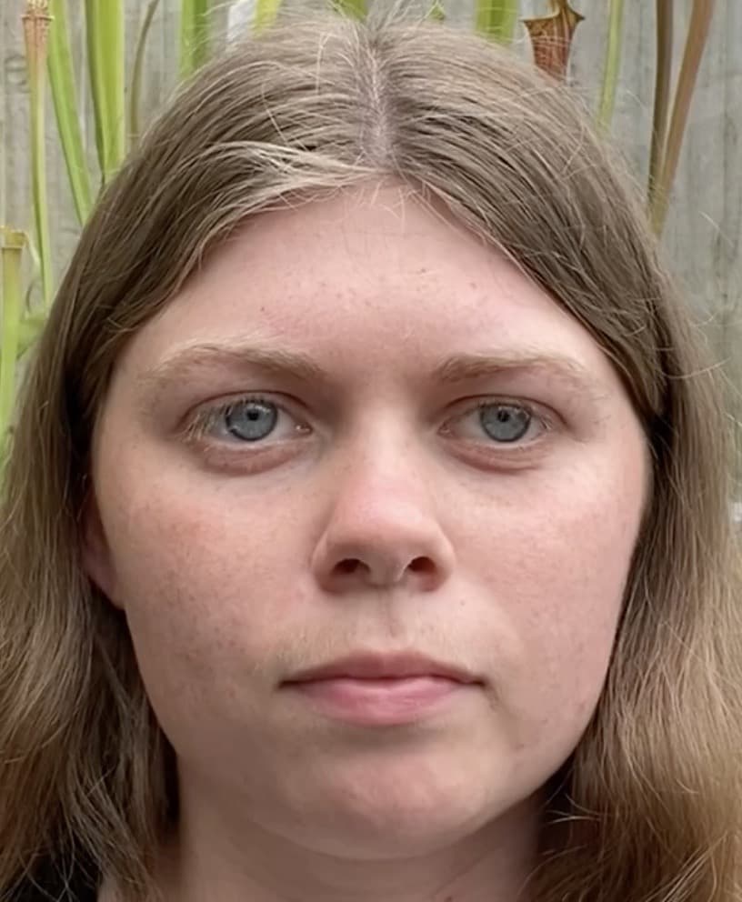 Venus Fly Trap Ultimate Feeding Guide Horticulture.co.uk