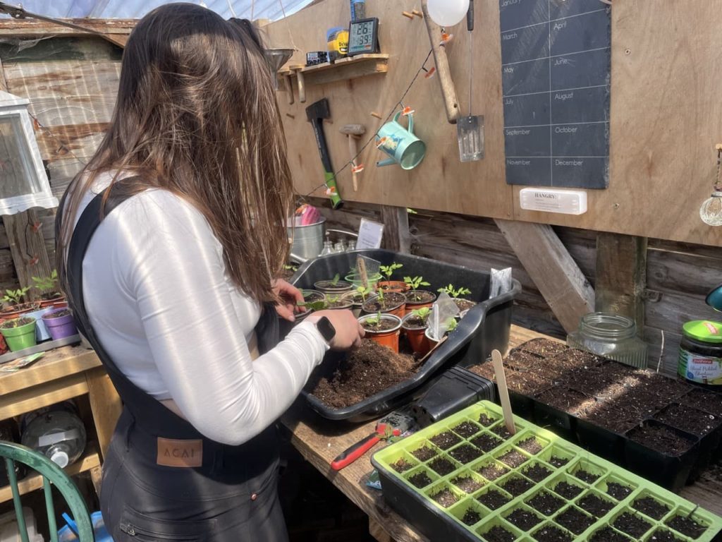 Shannon potting up seedlings into small pots in a shed