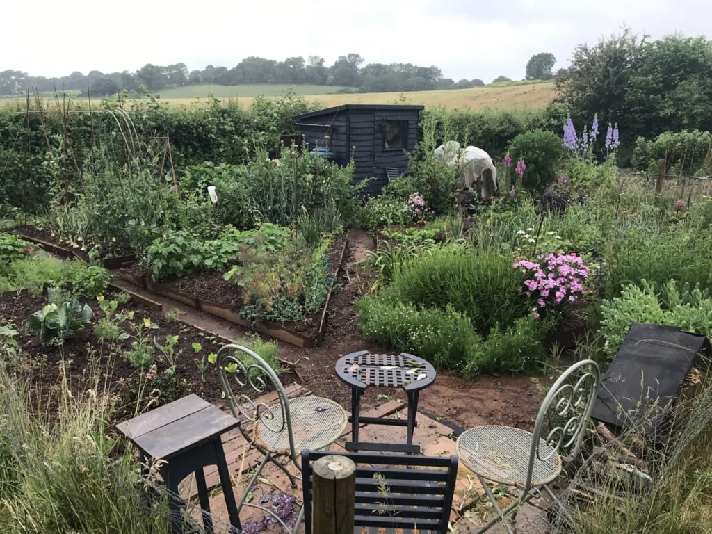 a seating area overlooking Jenny's allotment garden