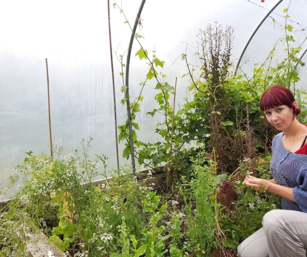 Kim Stoddart tending to plants in a large undercover polytunnel