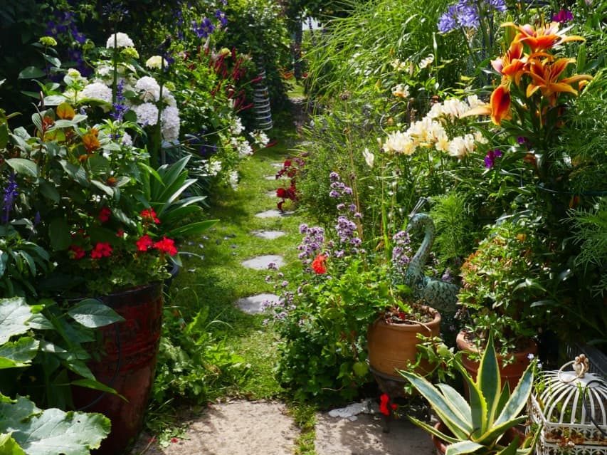 Janice Shipp's garden filled with colourful plants bordering a small grassy path