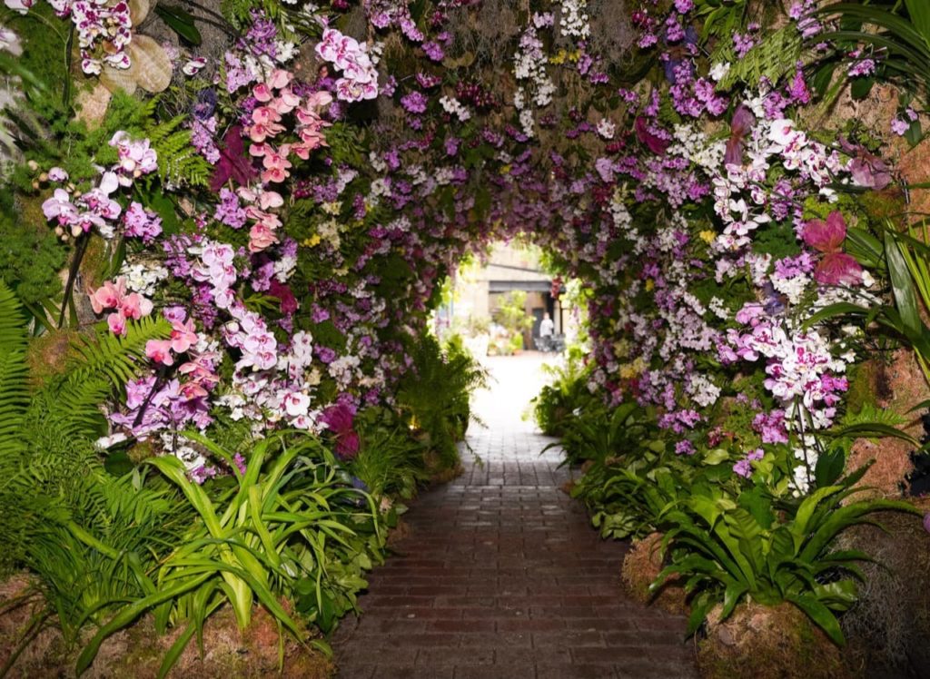 Judith's tunnel of orchids created for Begravia in Bloom