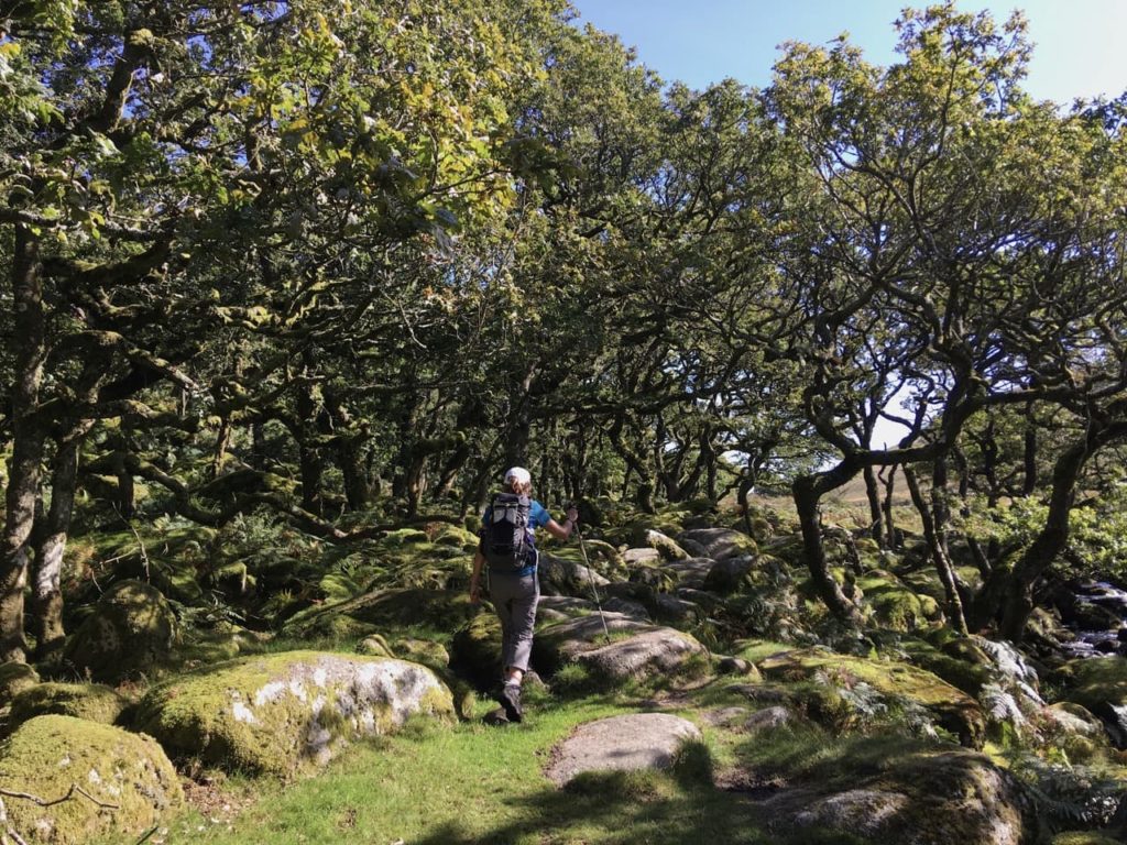 Debi Holland on a hike amongst a rocky landscape with many twisted trees