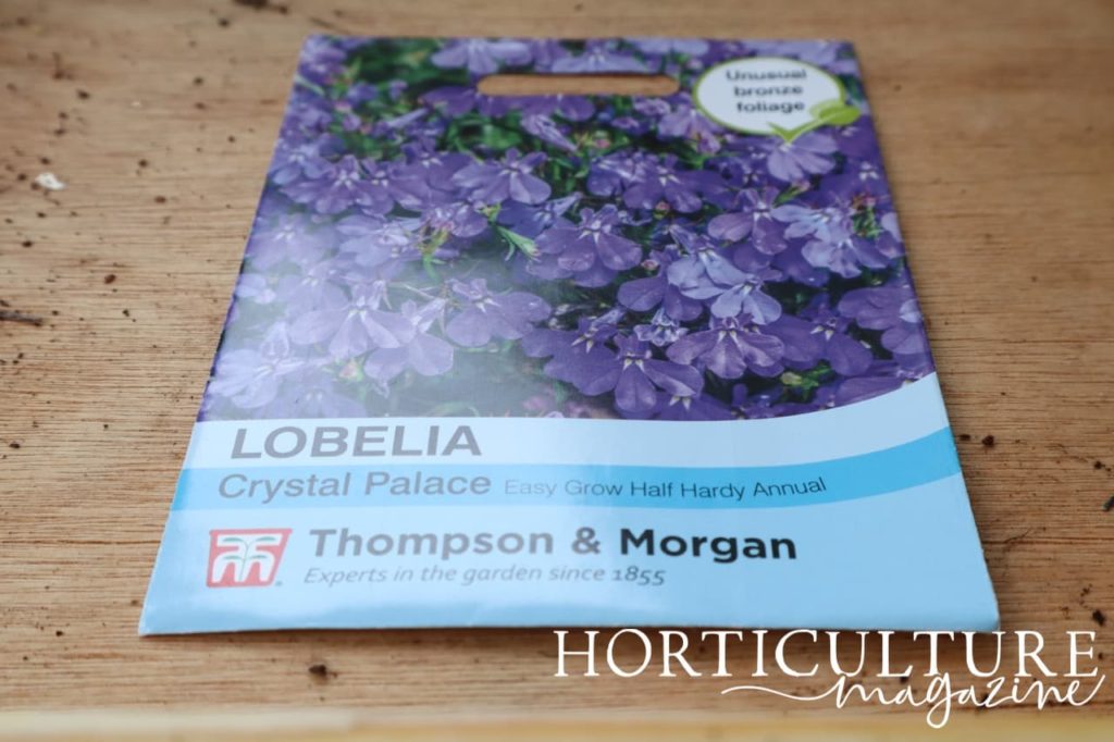 packet of Thompson & Morgan seeds Lobelia 'Crystal Palace'