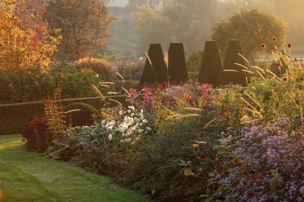 a colourful garden on a misty day in autumn