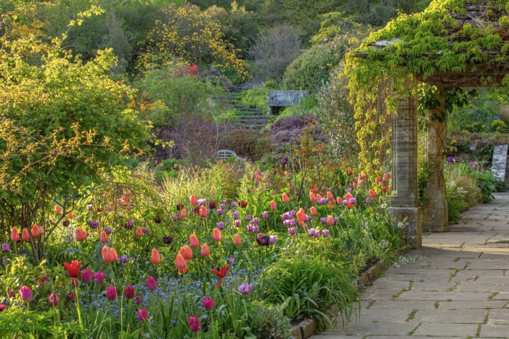 a garden full of tulips in shades of orange, purple and pink