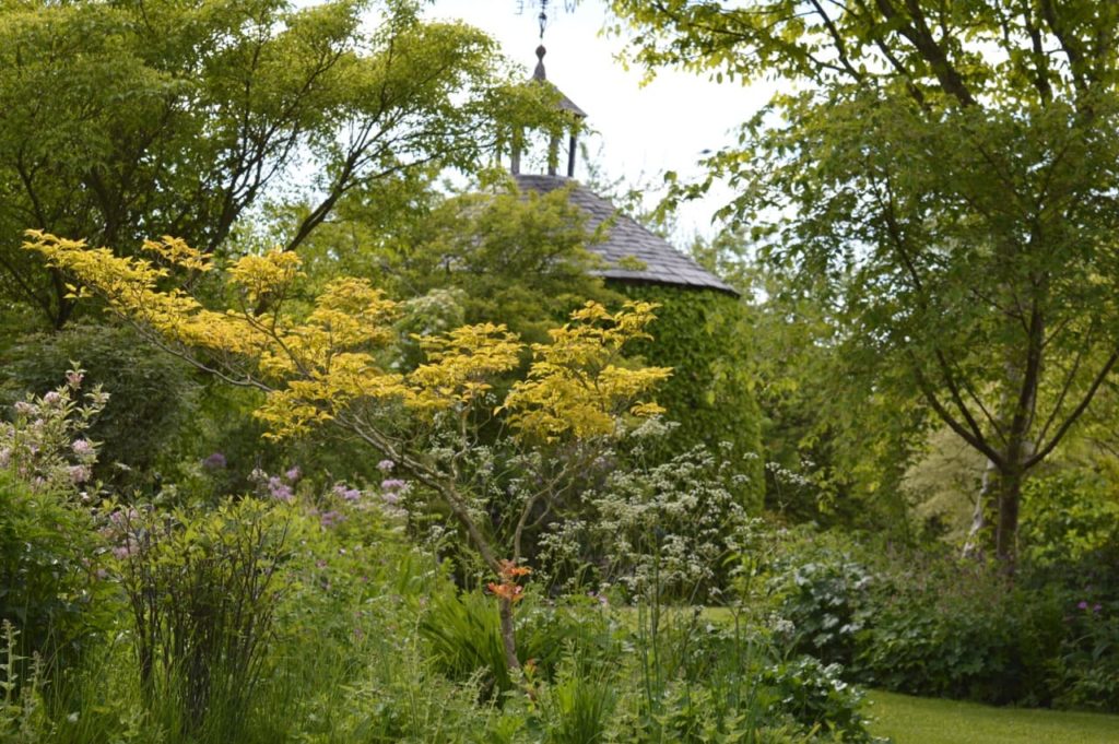 yellow and white flowering plants and deciduous trees in the garden at Stockton Bury