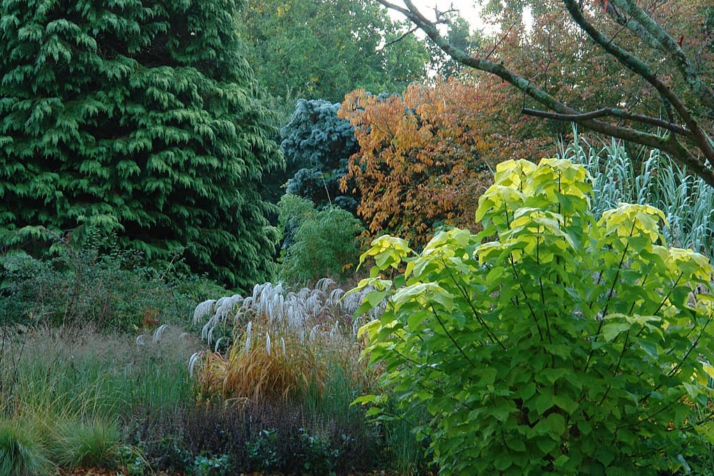 the gardens at Knoll with grassy and woody foliage plants