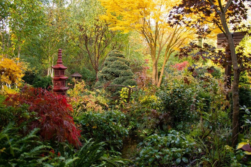 the colourful Four Seasons Garden in Walsall shot by Phao Hewitson
