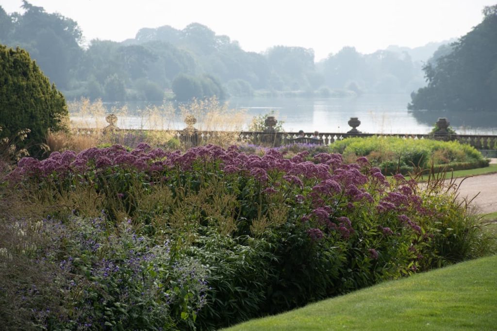 Trentham gardens shot by Phao Hewitson