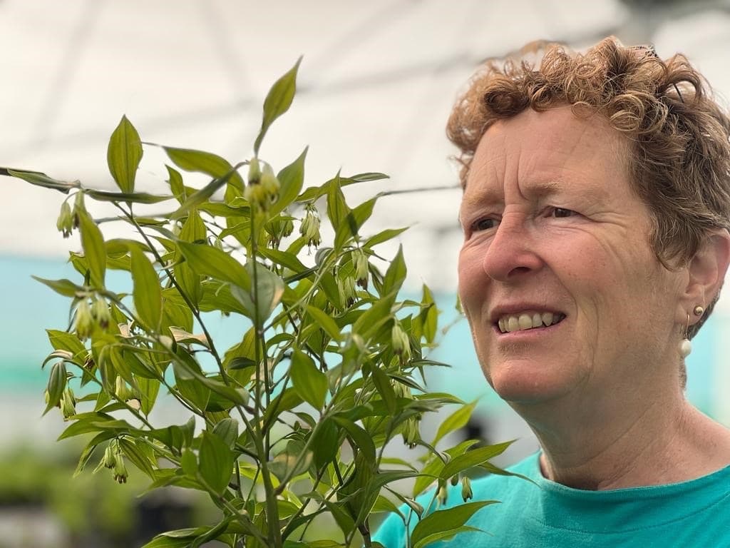 Rosy looking at the lanceolate green leaves of a potted chilli plant